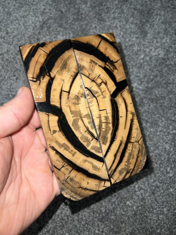 Mammoth tusk scales!