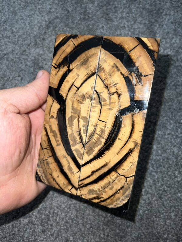 Mammoth tusk scales! - Image 2