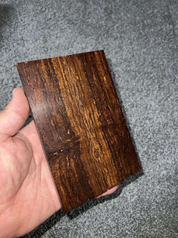 Figured desert ironwood scales! - Image 2
