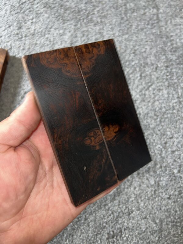 Desert ironwood scales - Image 2