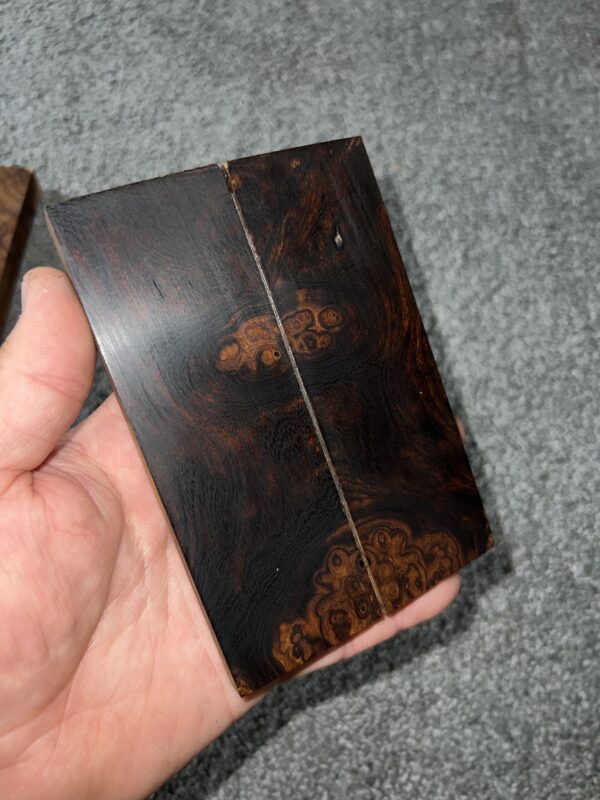 Desert ironwood scales