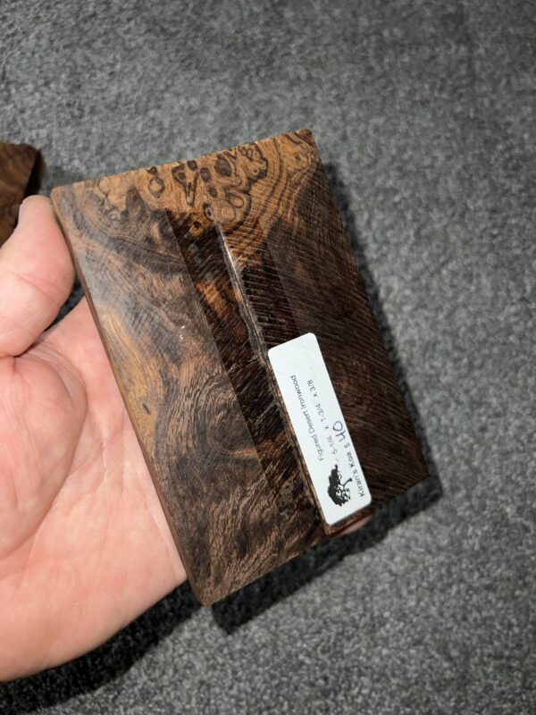 Desert ironwood scales - Image 3