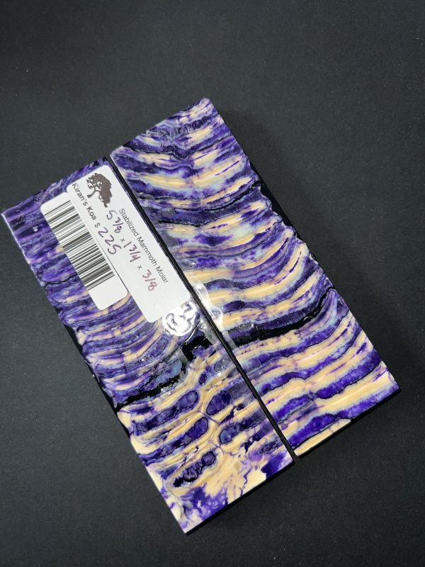 Double dyed mammoth molar scales! - Image 5