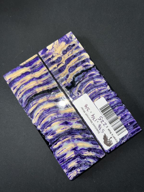 Double dyed mammoth molar scales! - Image 4