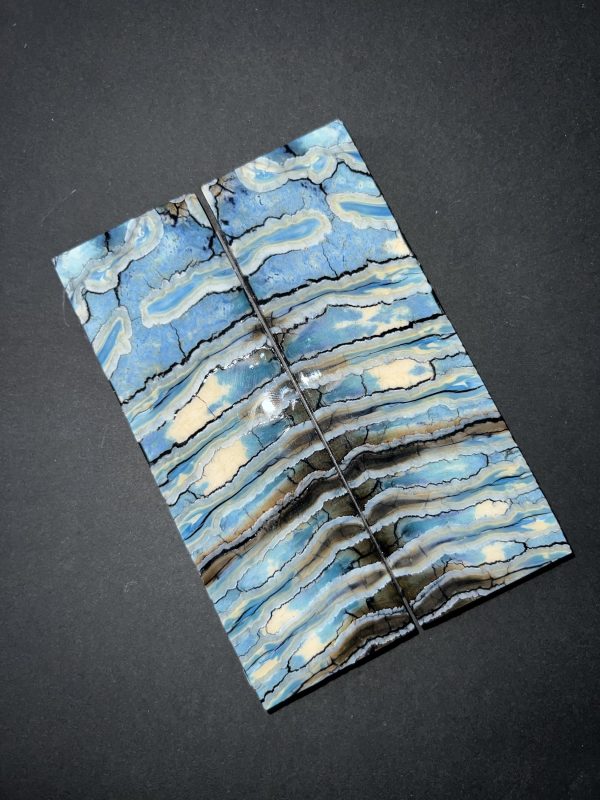 Single dyed mammoth molar scales!