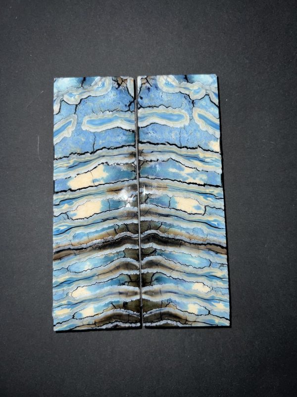 Single dyed mammoth molar scales! - Image 2