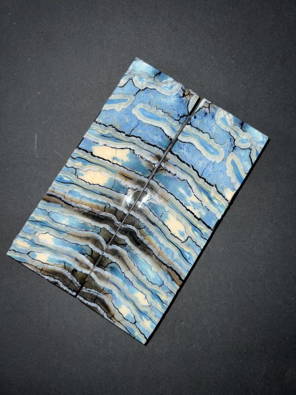 Single dyed mammoth molar scales! - Image 3