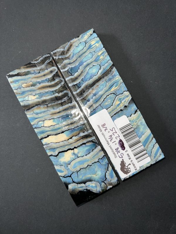 Single dyed mammoth molar scales! - Image 6