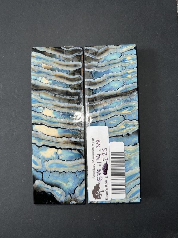 Single dyed mammoth molar scales! - Image 5