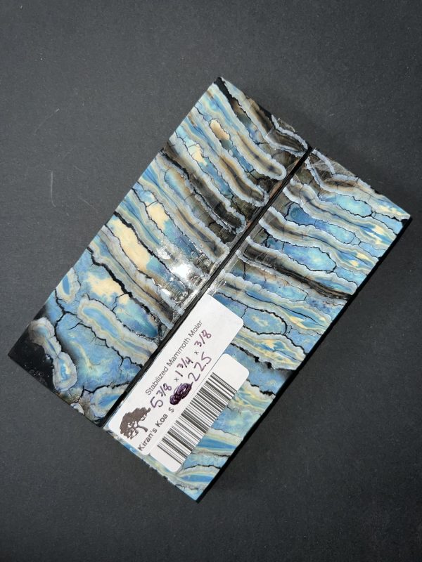 Single dyed mammoth molar scales! - Image 4