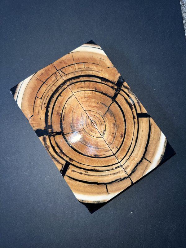 Mammoth tusk scale set! - Image 6