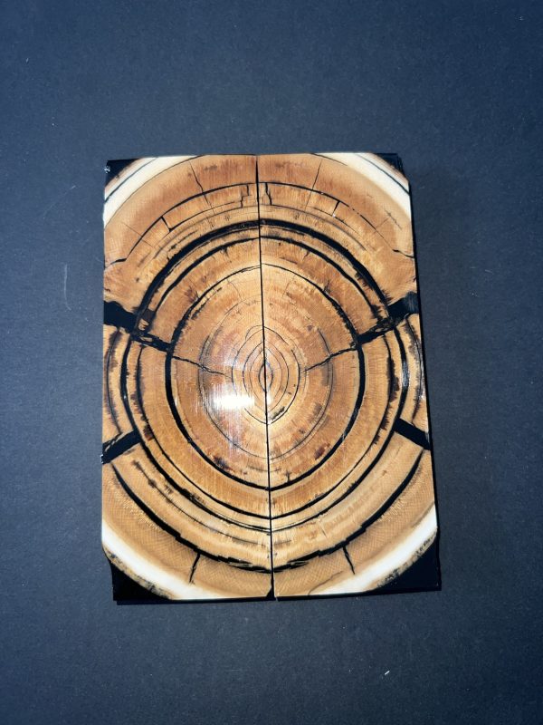 Mammoth tusk scale set! - Image 5