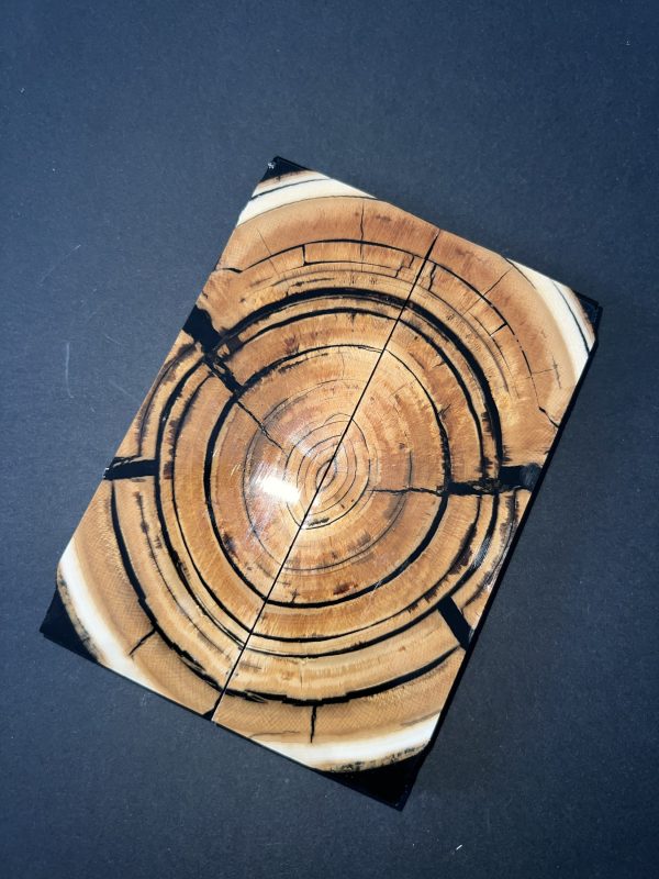 Mammoth tusk scale set! - Image 4