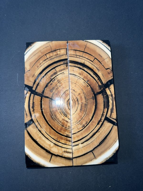 Mammoth tusk scale set! - Image 2