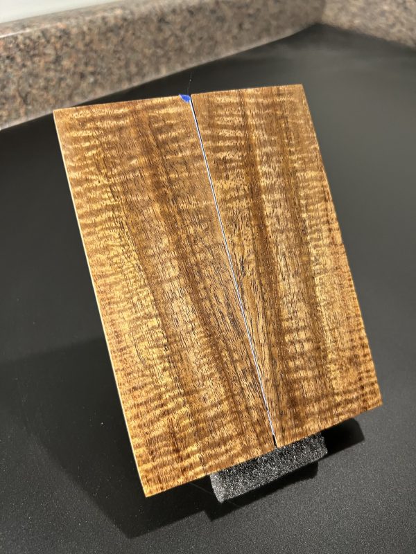 Curly Koa scales!
