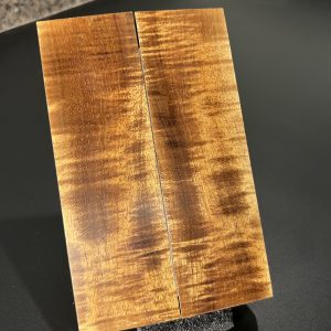 Curly Koa scales!