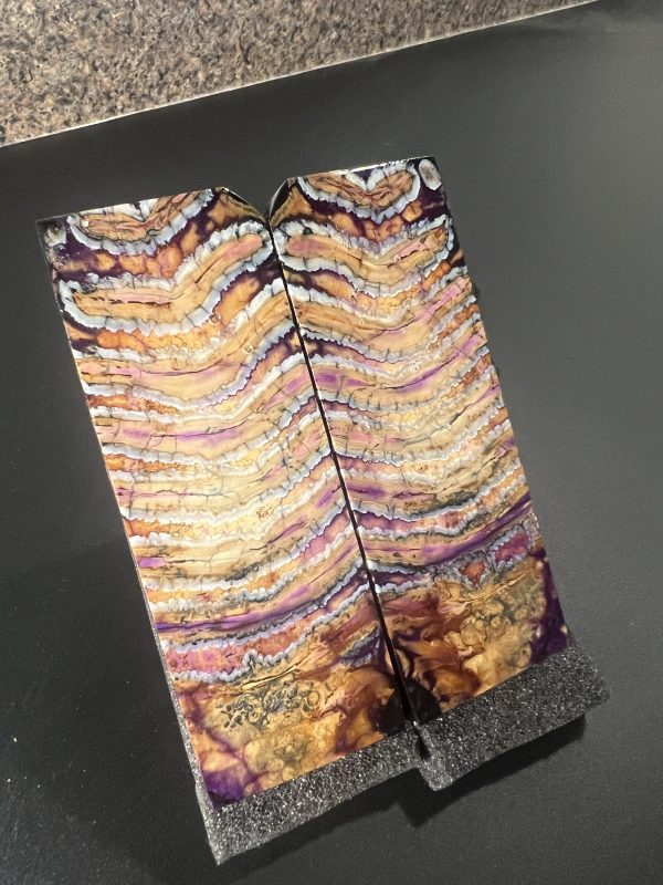 Mammoth molar scales! - Image 4