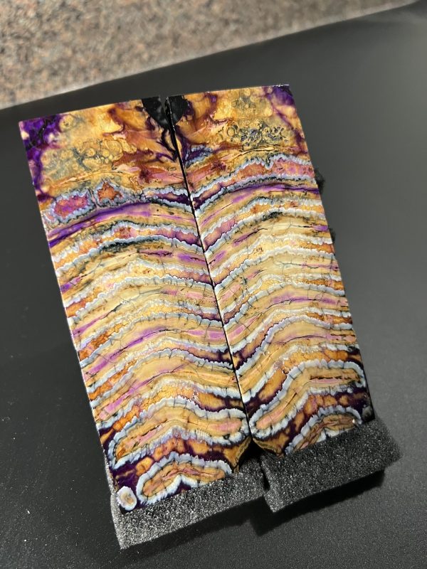 Mammoth molar scales! - Image 3
