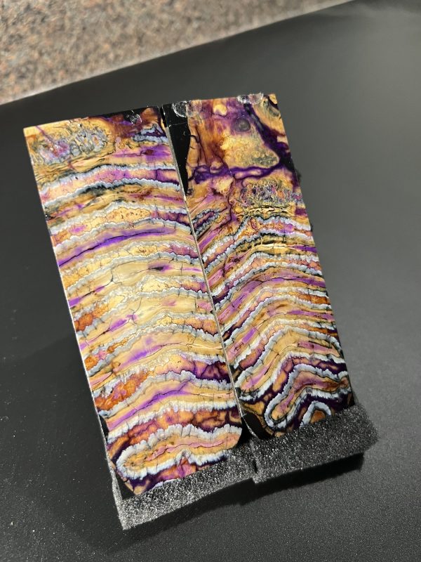 Mammoth molar scales! - Image 2