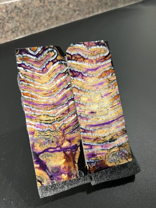 Mammoth molar scales!