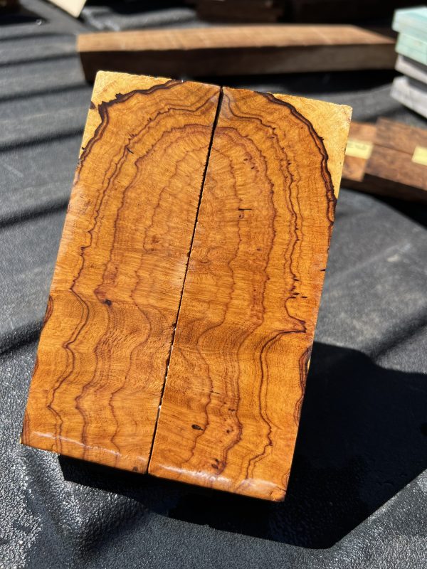 Side grain desert ironwood scales!