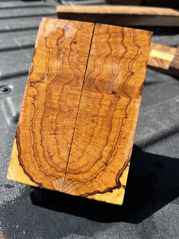 Side grain desert ironwood scales! - Image 2
