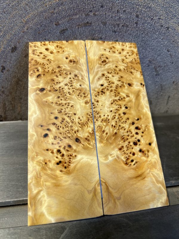 Yellow Cedar Burl scales!