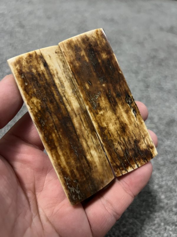 Mammoth bark scales!
