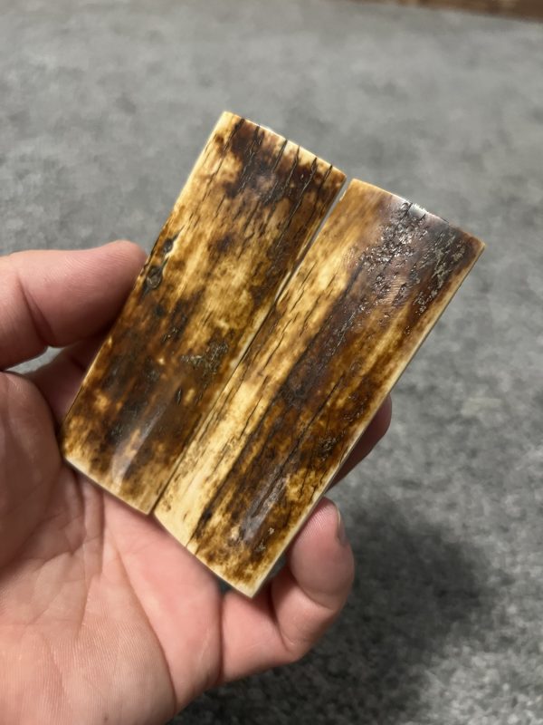 Mammoth bark scales! - Image 4