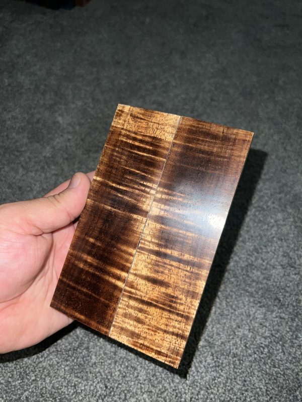 Curly Koa scales!