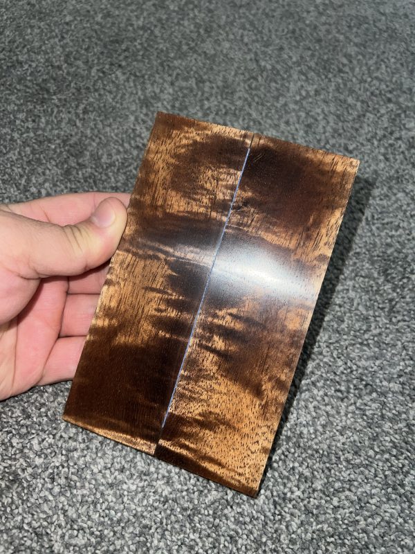 Curly Koa scales!