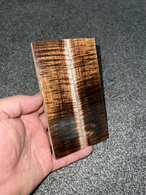 Curly Koa scales!