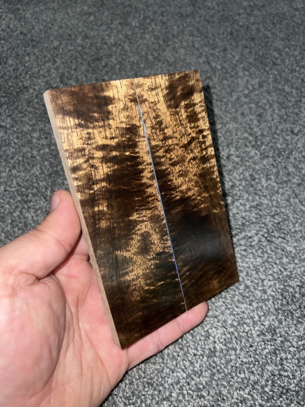 Curly Koa scales!