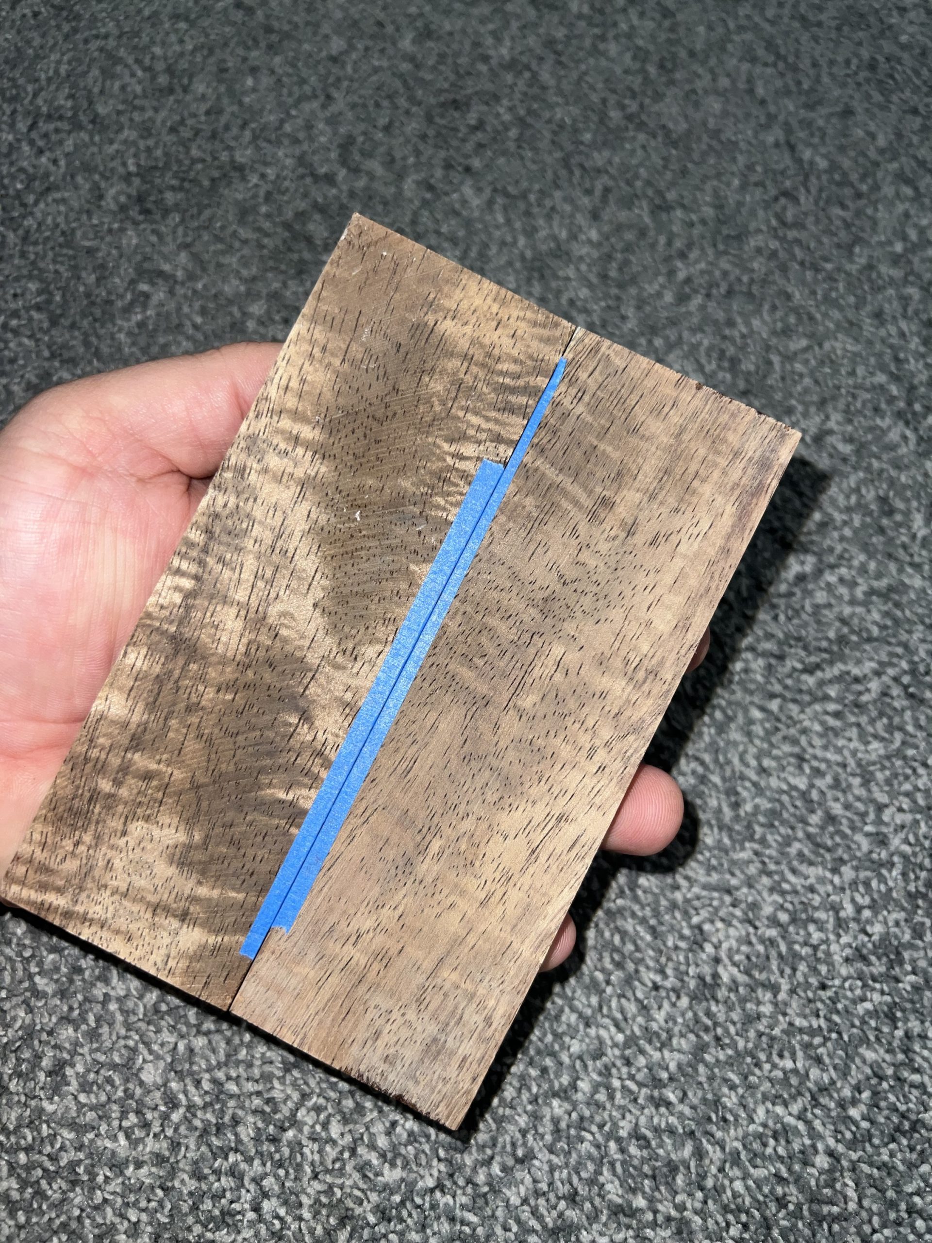 Curly Koa scales! - Image 7