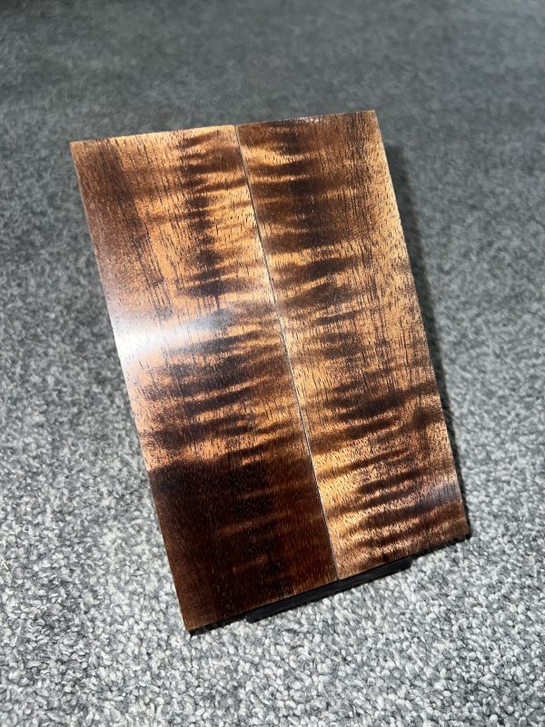 Curly Koa scales!