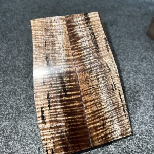 Curly Koa scales!