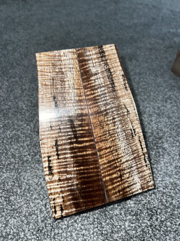 Curly Koa scales!