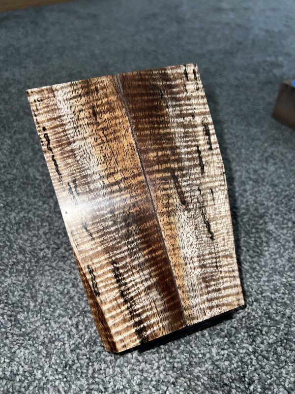 Curly Koa scales! - Image 4