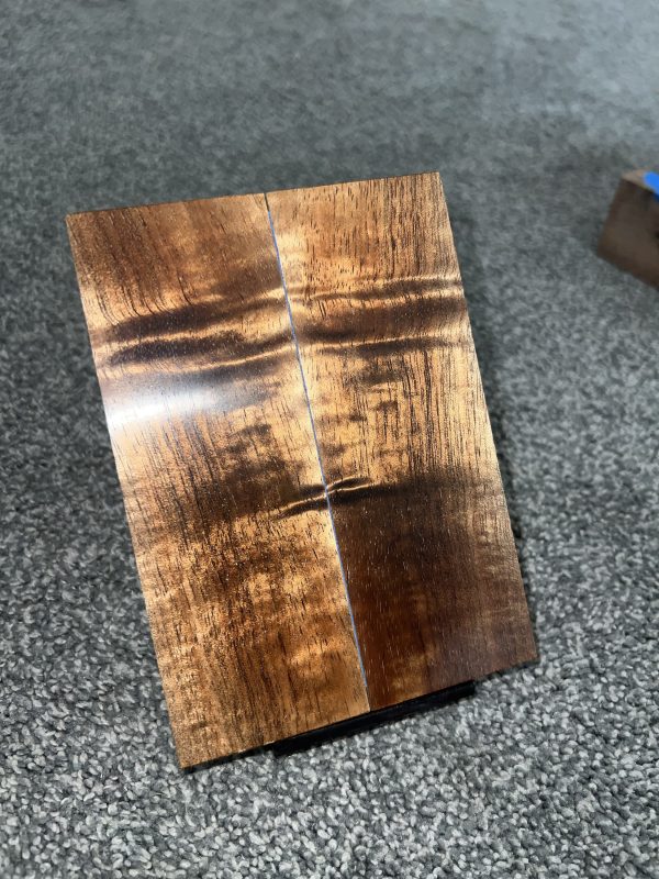 Curly Koa scales!