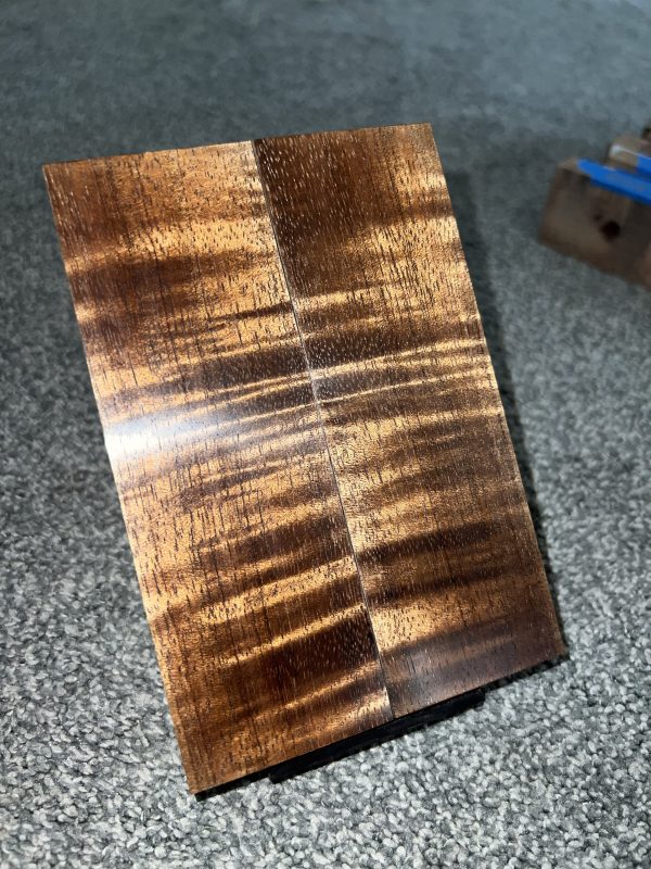 Curly Koa scales!!