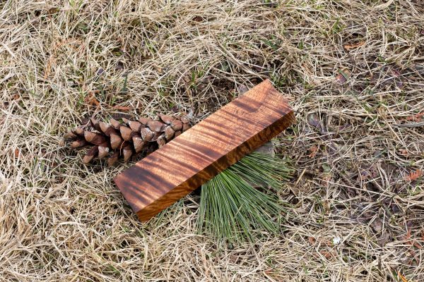 Stabilized Hawaiian Curly Koa
