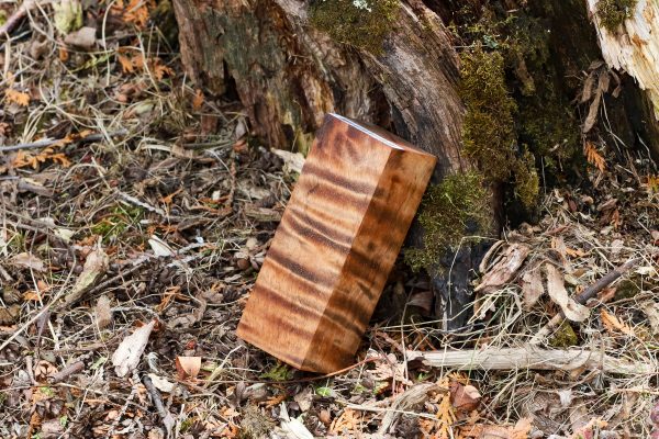 Stabilized Hawaiian Curly Koa