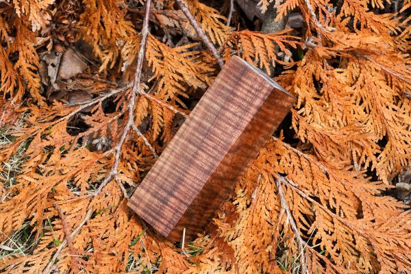 Stabilized Hawaiian Curly Koa
