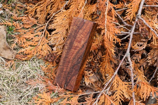 Stabilized Hawaiian Curly Koa