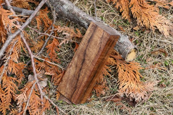 Stabilized Hawaiian Curly Koa