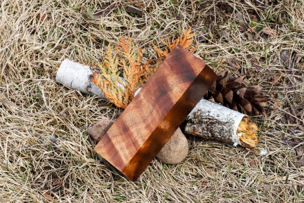 Stabilized Hawaiian Curly Koa