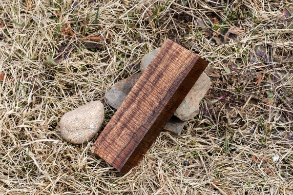 Stabilized Hawaiian Curly Koa