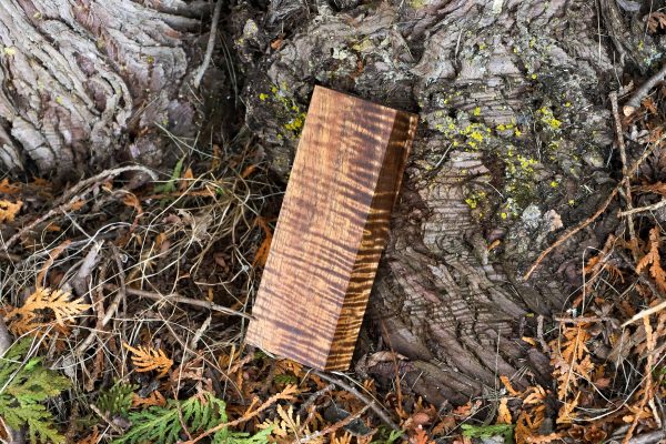 Stabilized Hawaiian Curly Koa