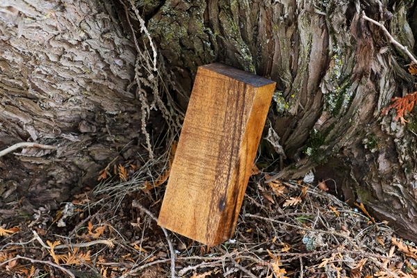 Stabilized Hawaiian Curly Koa