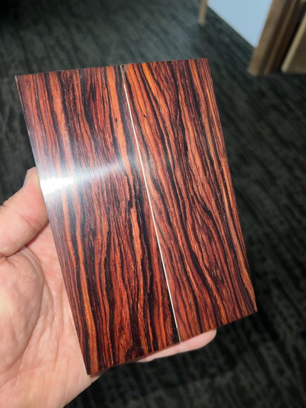 Cocobolo scales!